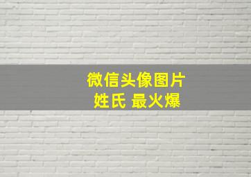 微信头像图片 姓氏 最火爆